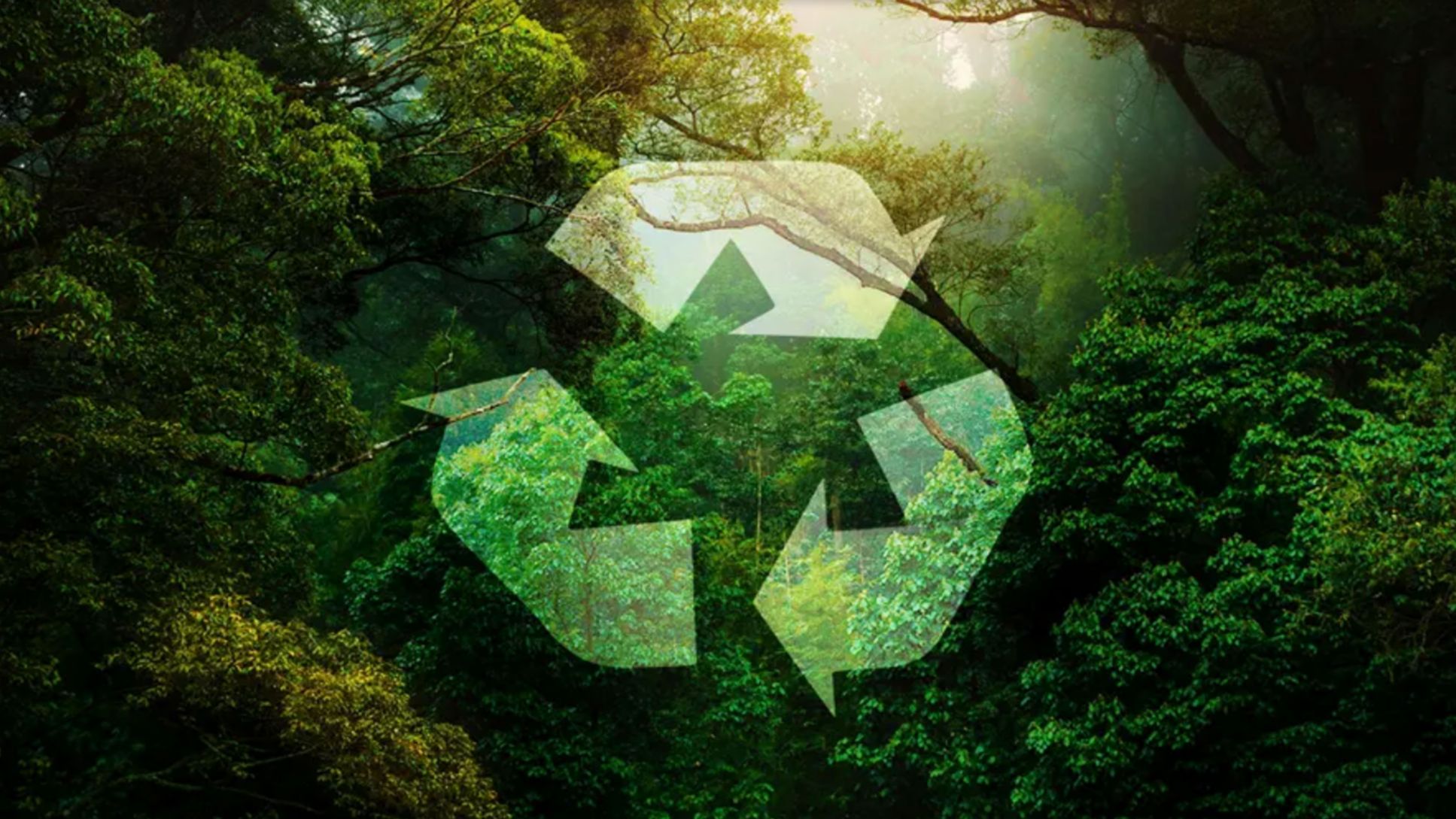 Circular Economy, 2023, Porsche AG