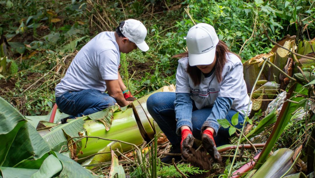 Porsche Guatemala y Grupo Los Tres reafirman su compromiso ambiental con la plantación de 1,250 árboles en Guatemala