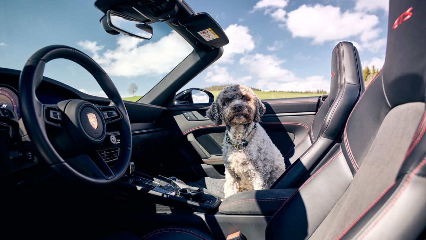 Salar Bahrampoori, 2025, Porsche Schweiz AG