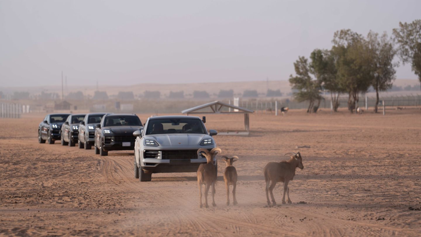 Off-road experience, Porsche Saudi Arabia, 2026, Porsche Middle East